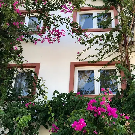 Kasdreamhill דירה *